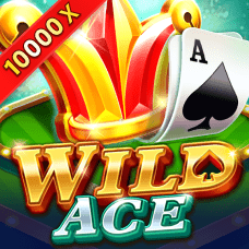 Wild Ace